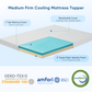 IHanherry 3 inch Medium Firm Ice Cooling Dual Layer Memory Foam Mattress Topper